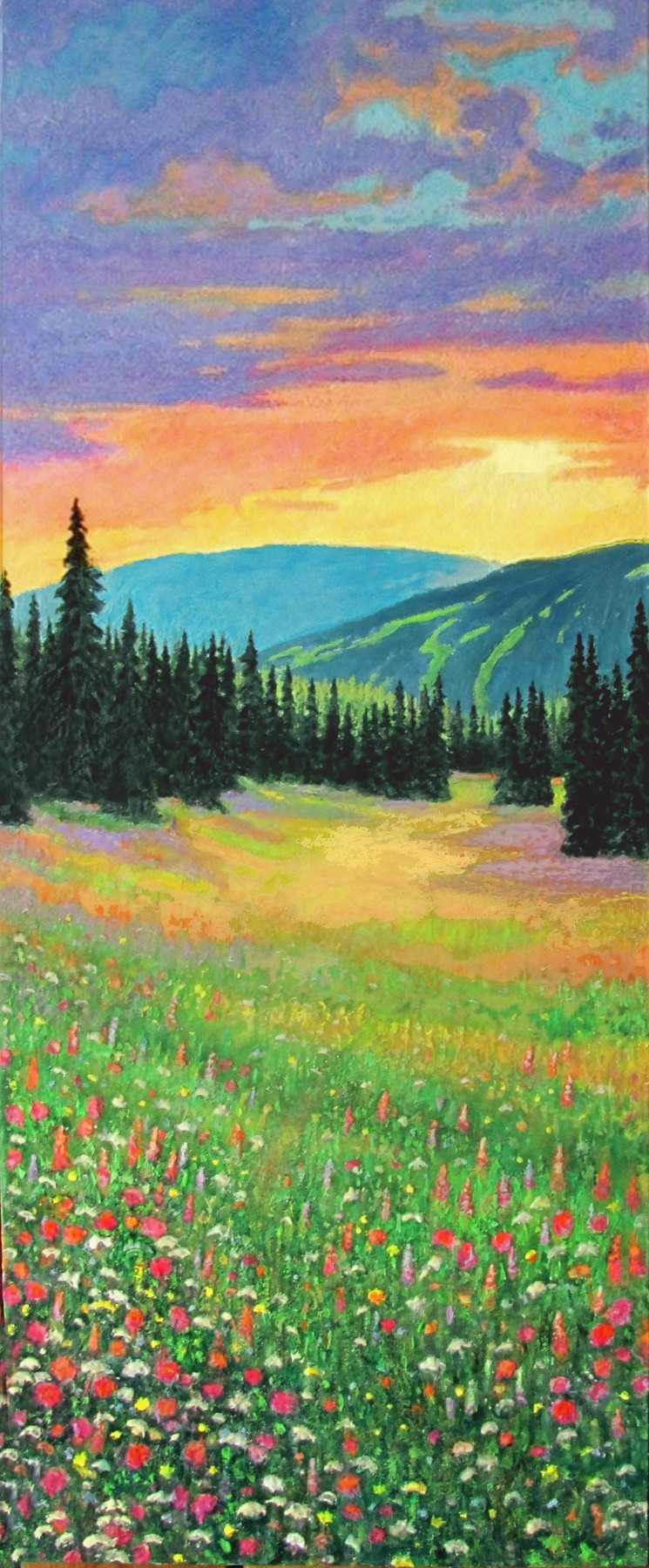 Alpine Meadow, photographed in daylight