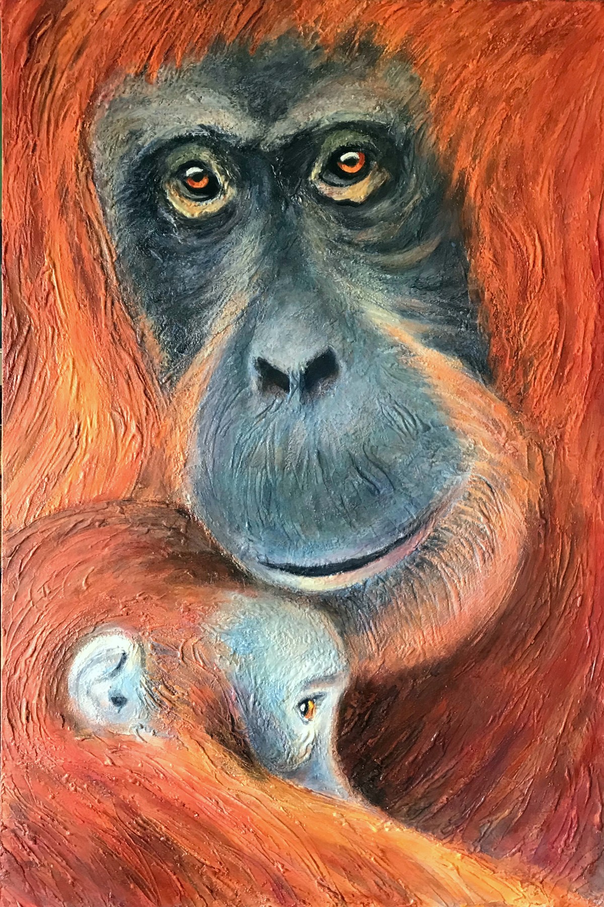 Glowing Affection, photographed in daylight