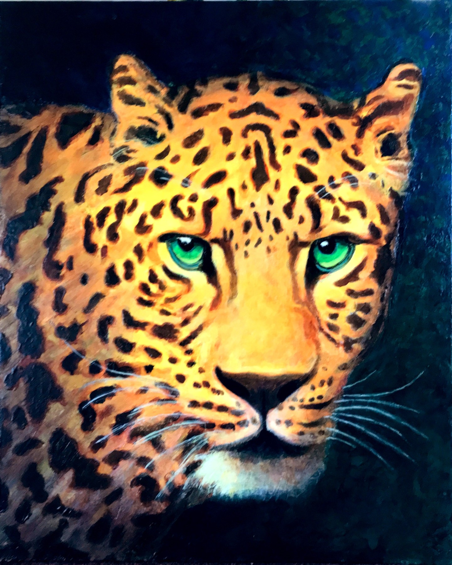 Leopard Stare, photographed in daylight